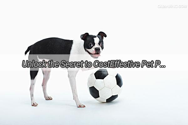 Unlock the Secret to CostEffective Pet Placement Discover How We Price Local Dog Adoptions